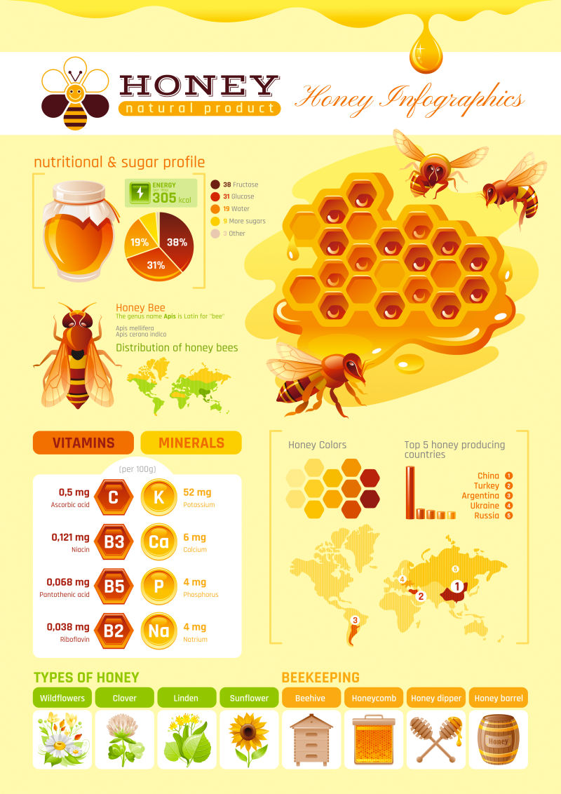 创意矢量蜂蜜的创意信息图表
