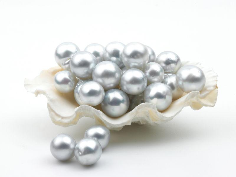 白色背景上贝壳里的许多珍珠