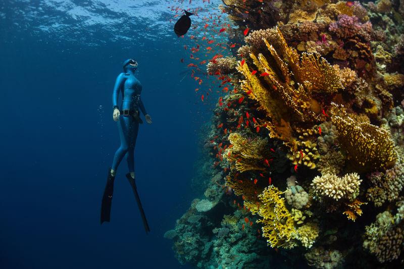 珊瑚礁旁的自由潜水者