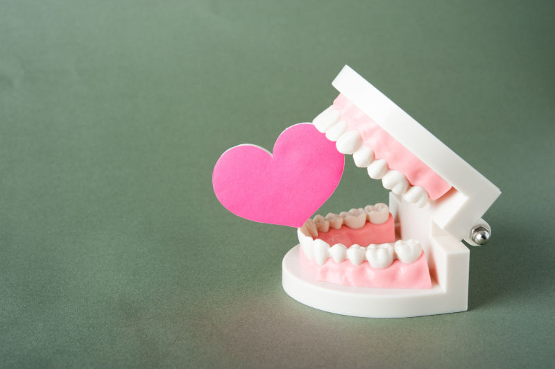 牙齿模型和爱心