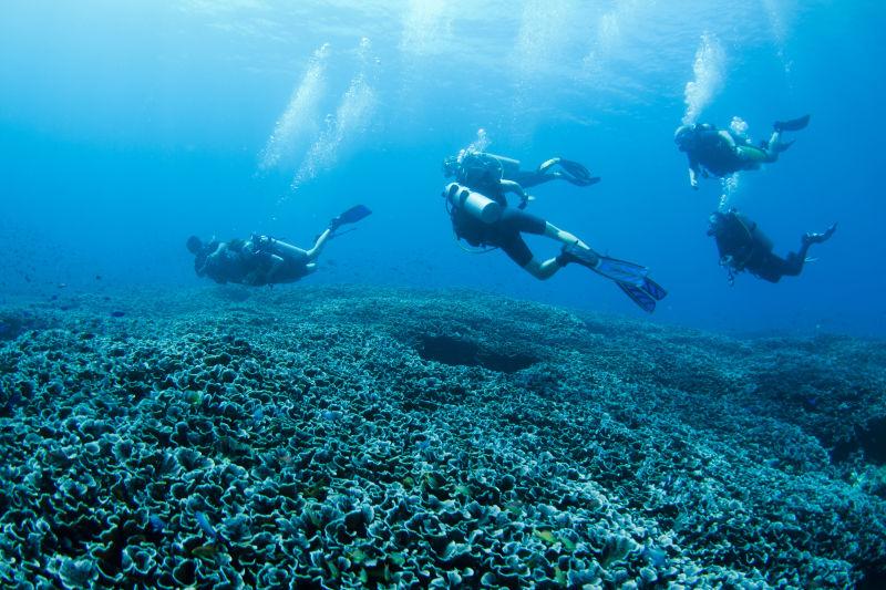 海底探索的一群潜水员