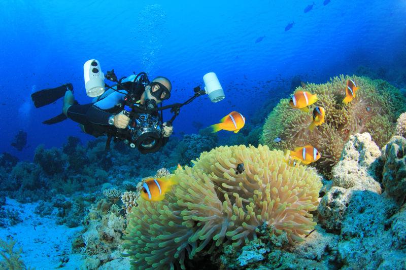 珊瑚群中拍摄小丑鱼的潜水员