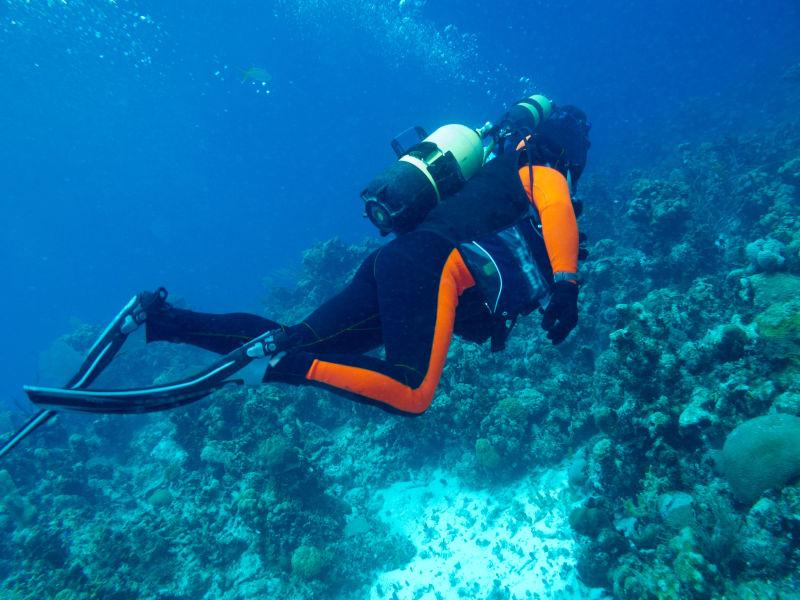 探索珊瑚礁的潜水员