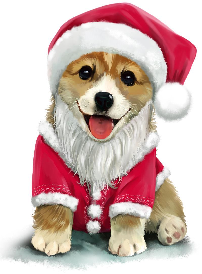穿圣诞装的小狗