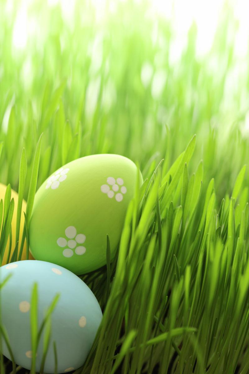 绿草中的复活节彩蛋