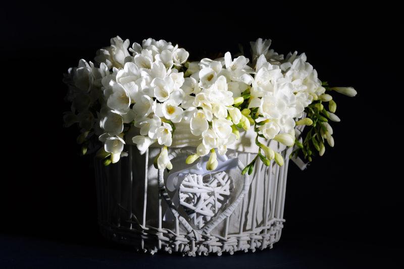 美丽的白花