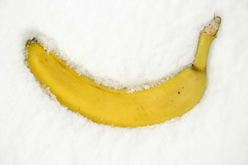 雪中的香蕉