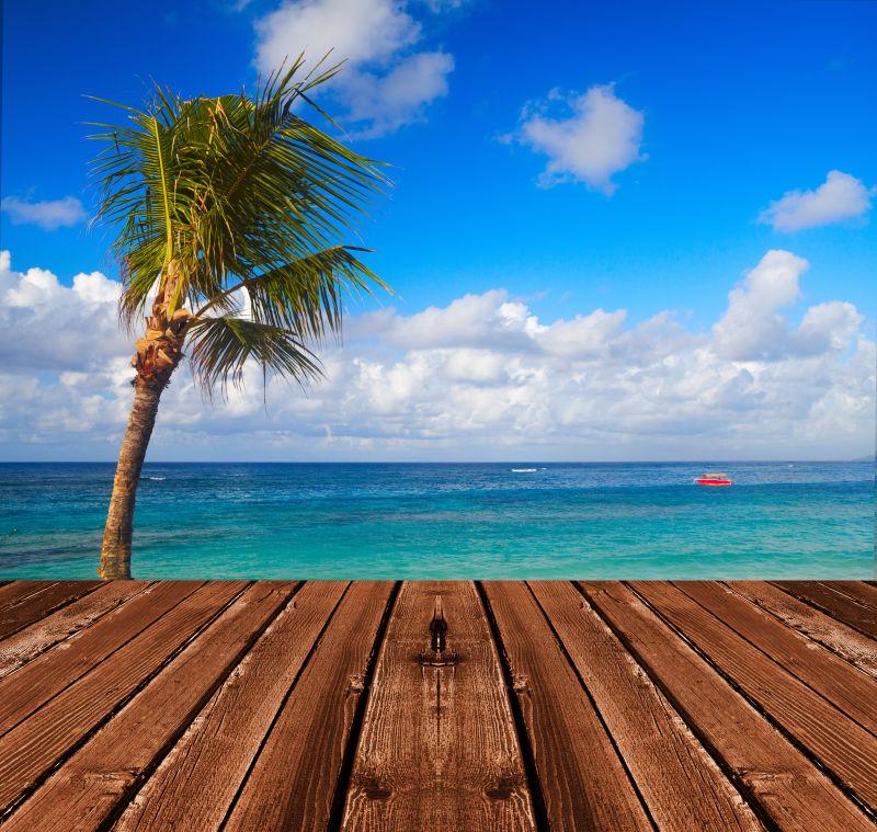 热带海滩上的棕榈树风景