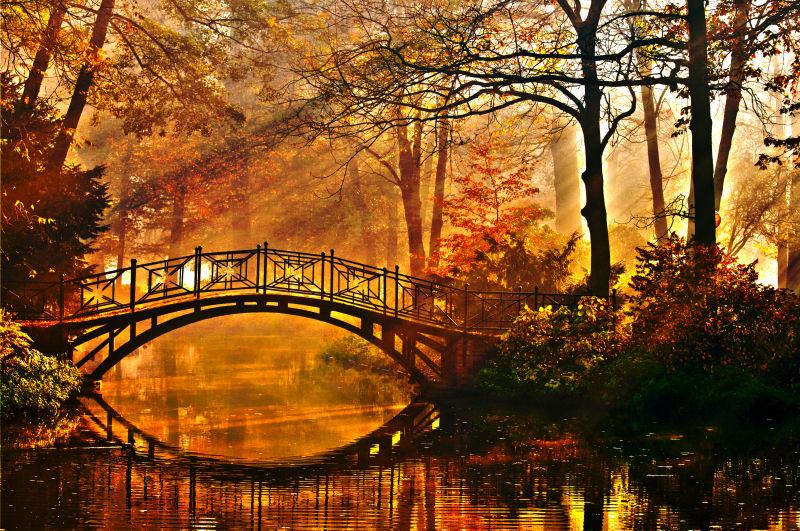 金色秋天林间的拱桥