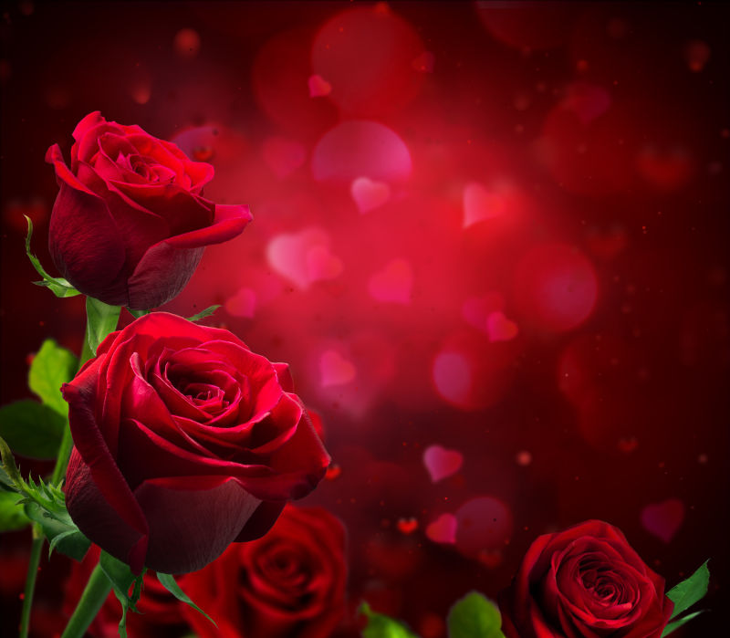 情人节背景红心玫瑰