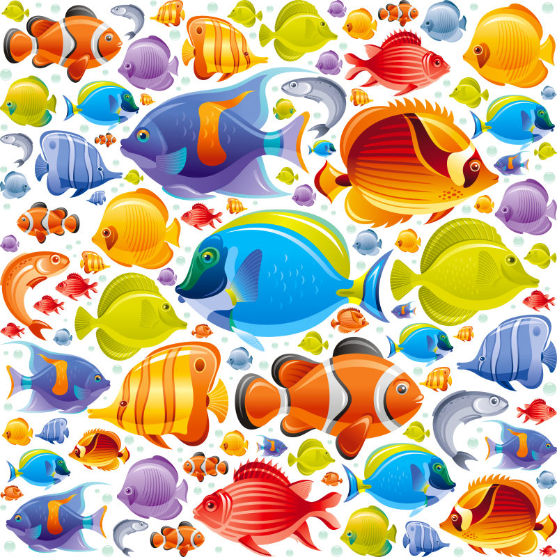 矢量海洋鱼类插图设计