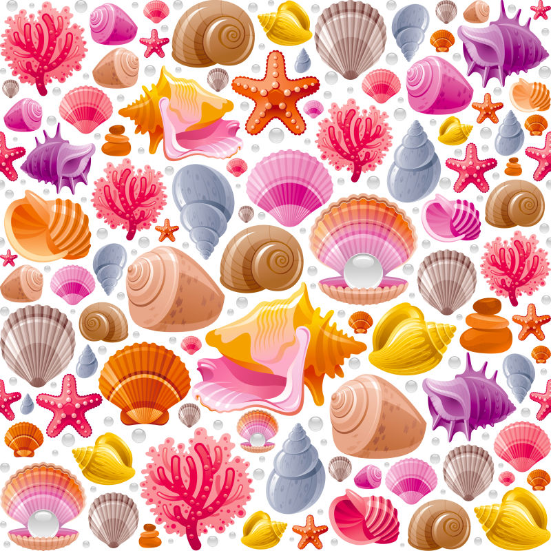 矢量海洋贝壳插图设计