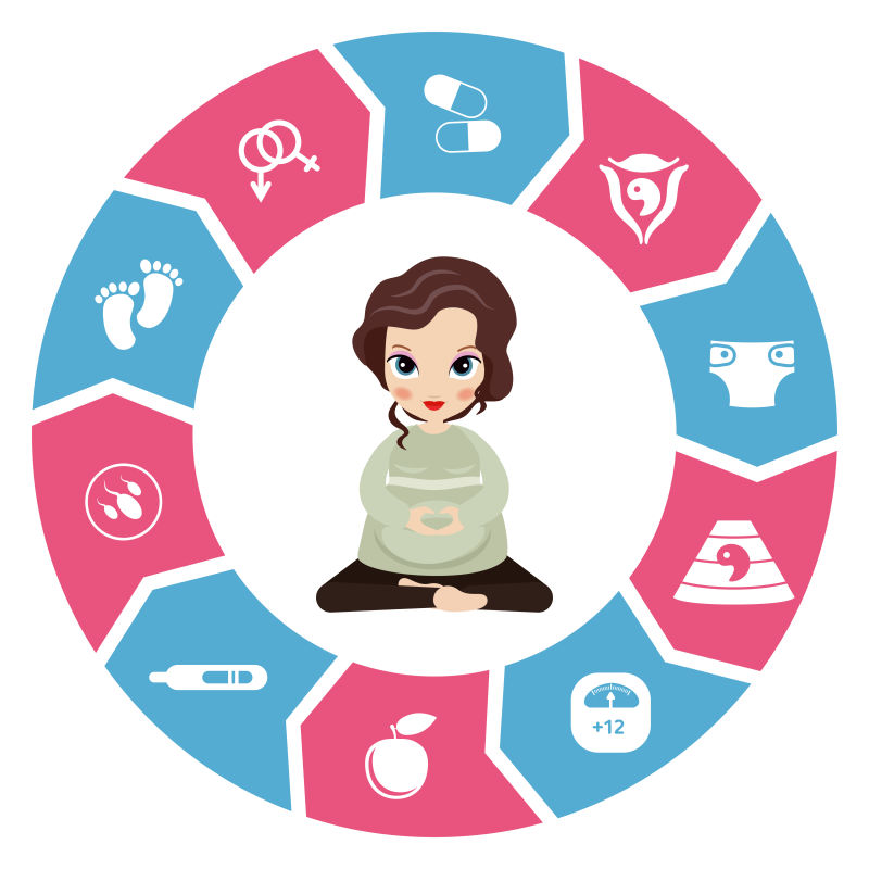 矢量的孕妇插图