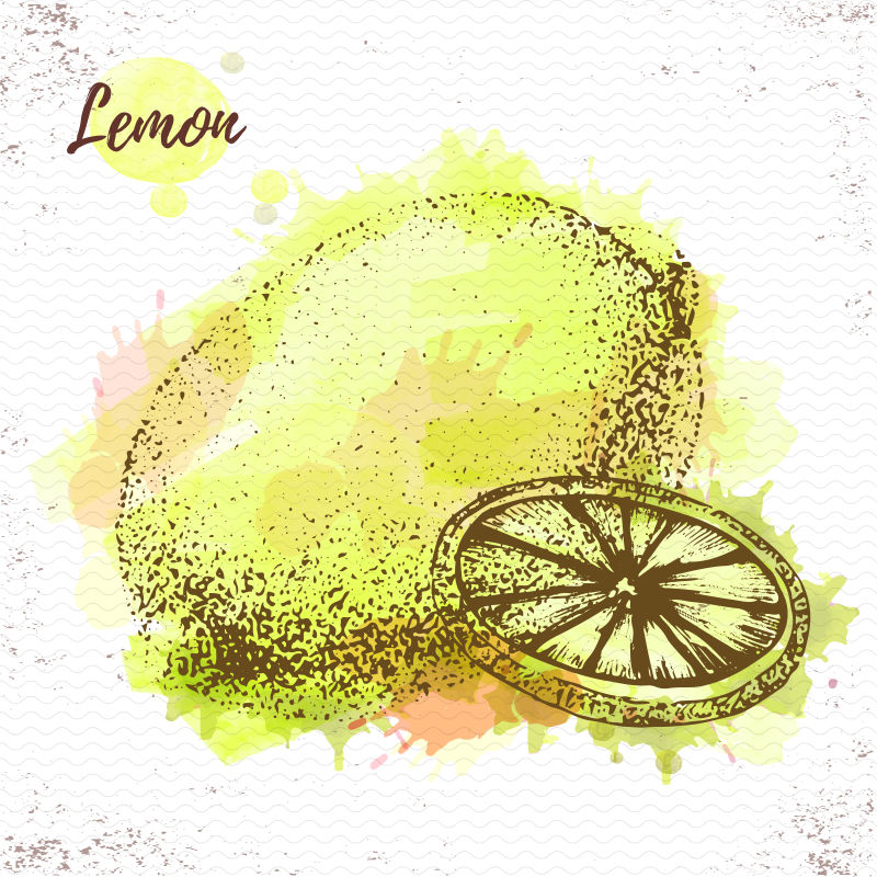 抽象素描风格的矢量柠檬插图