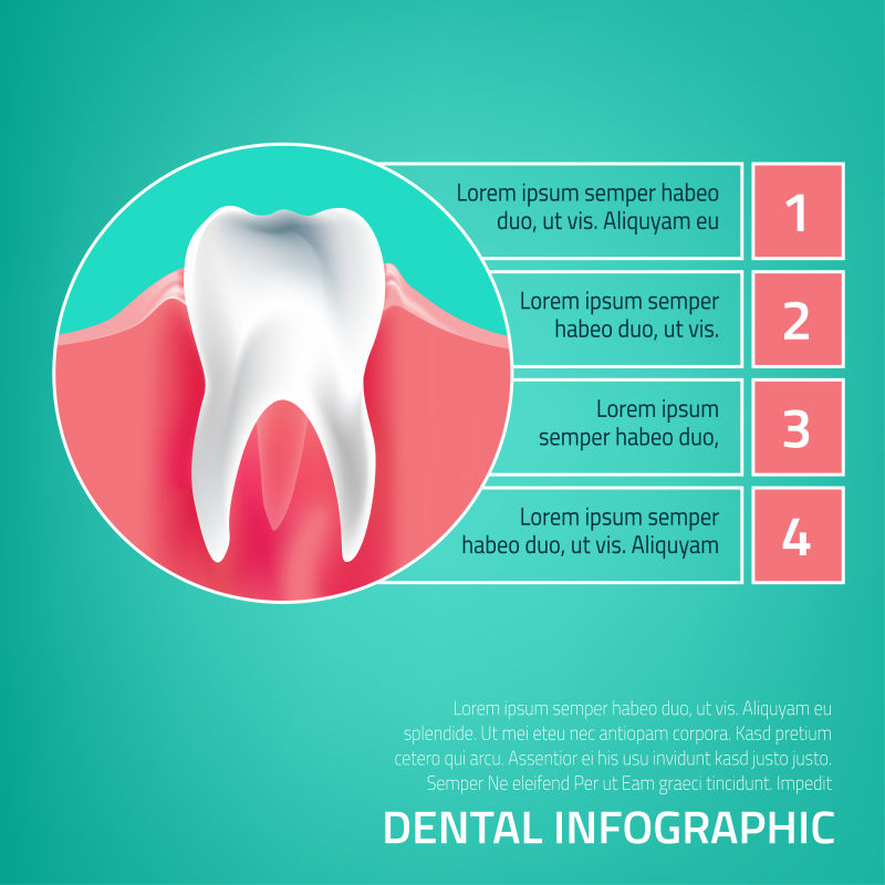 创意矢量牙齿信息的插图