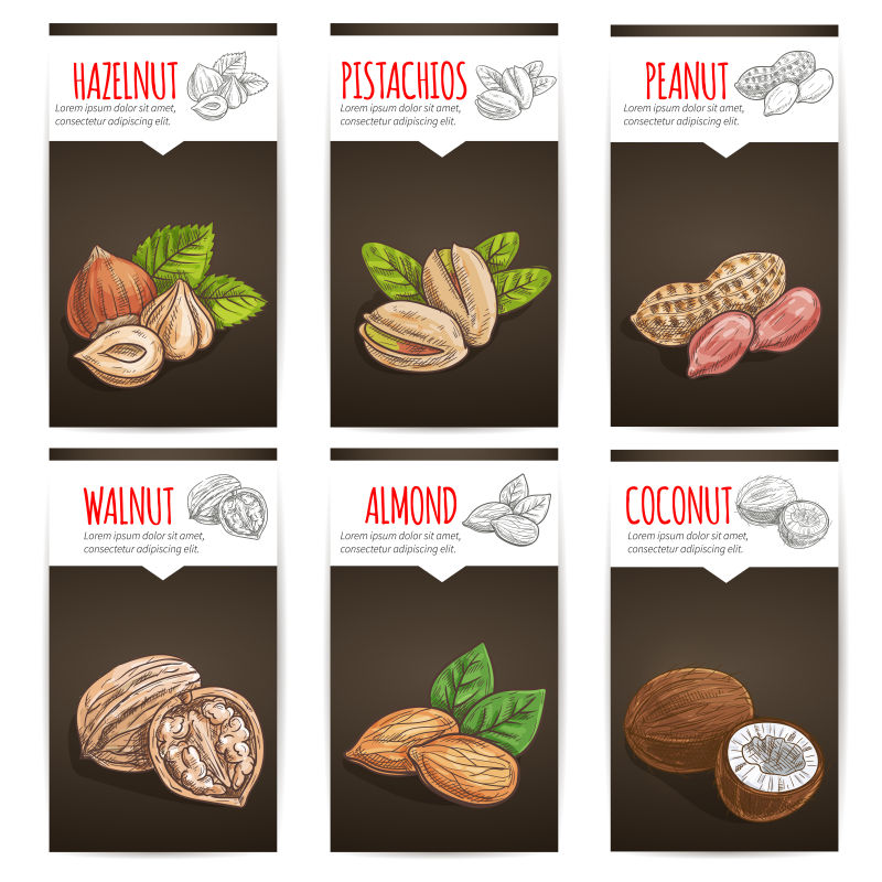 创意矢量坚果类食品的创意海报设计