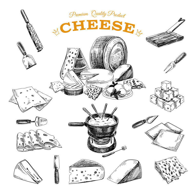 矢量的手绘奶酪插图设计