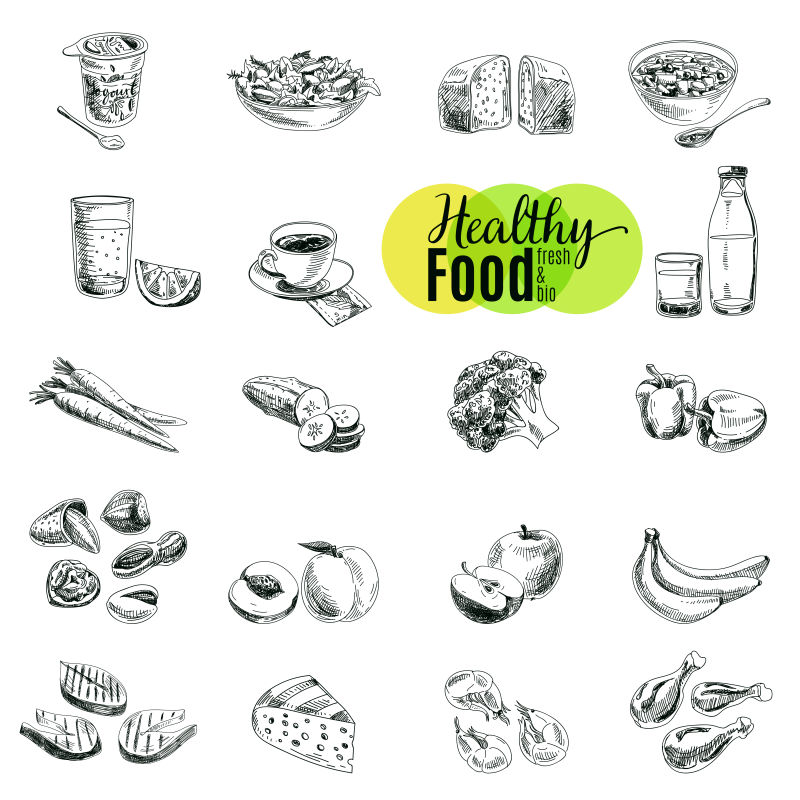 矢量的手绘健康食物插图