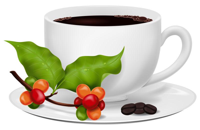 矢量咖啡杯配烤豆和鲜绿色咖啡枝