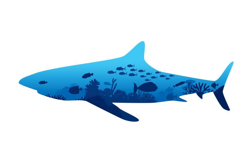 海底生物鲨鱼背景的矢量图
