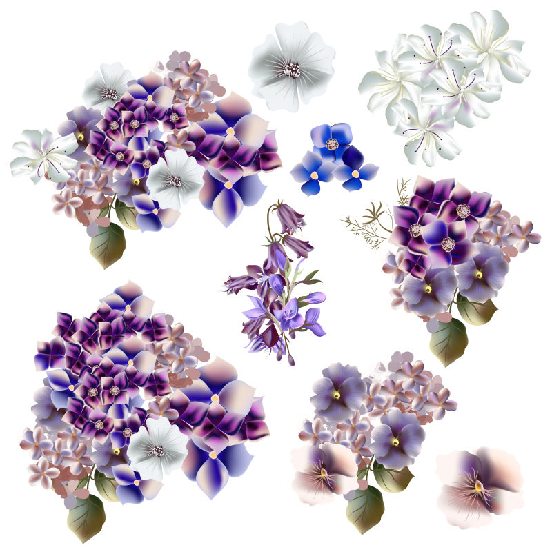 矢量美丽的手绘紫色花卉插图