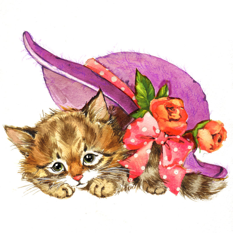 粉色帽子下的可爱猫咪