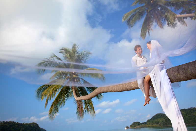 穿着婚纱的沙滩情侣坐在棕榈树上