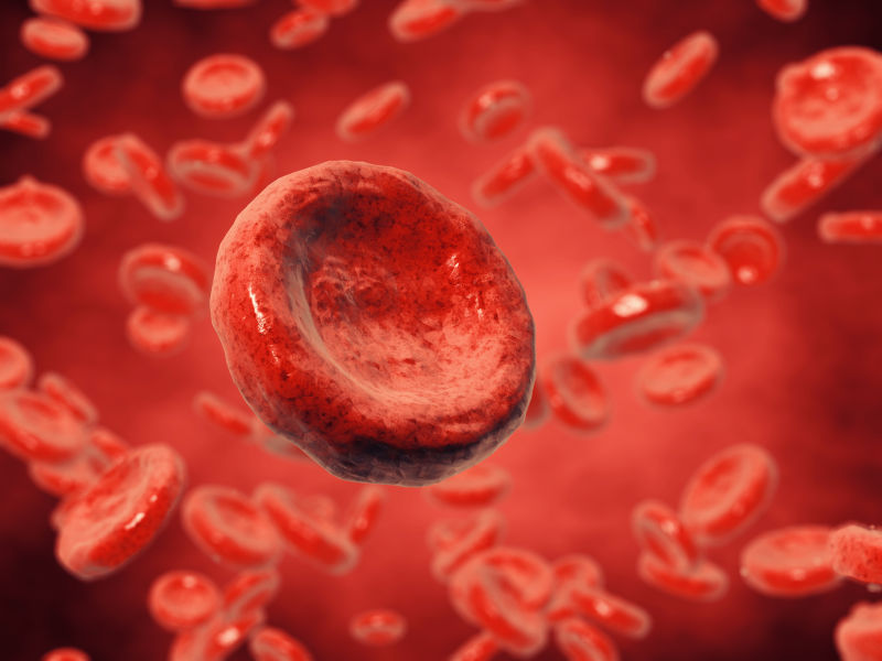 红细胞的3D图