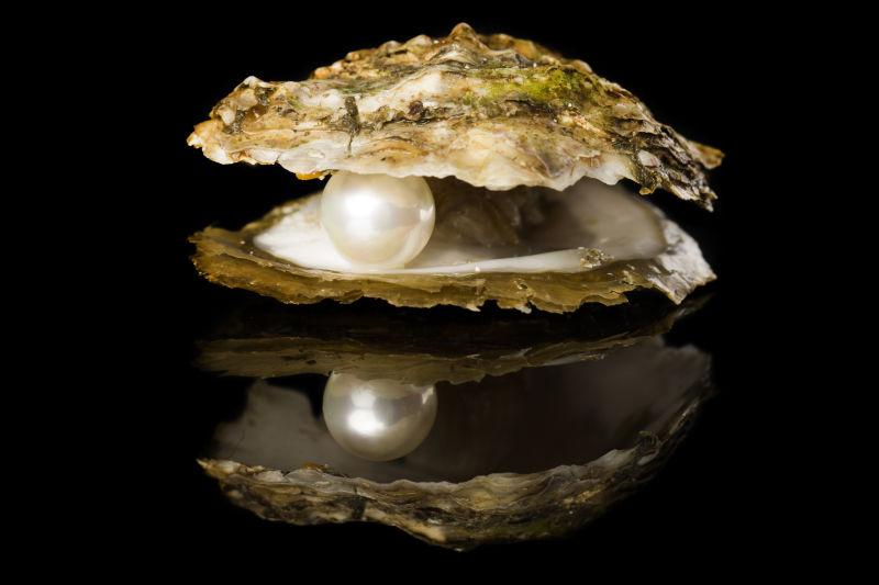 牡蛎里的美丽珍珠