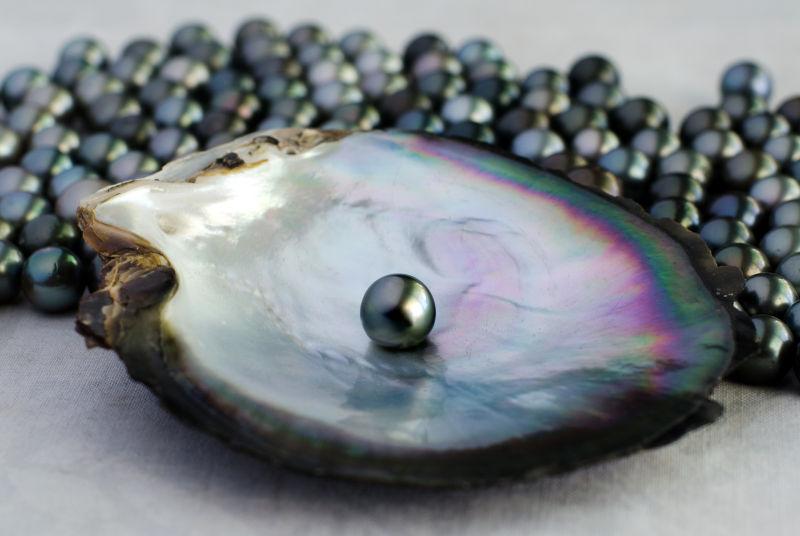 牡蛎壳里的一颗黑珍珠