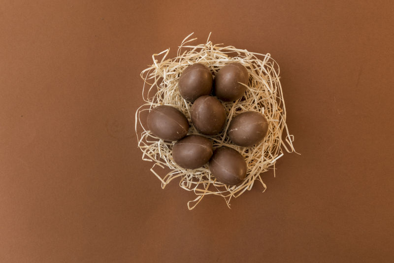 巢穴中的巧克力复活节彩蛋