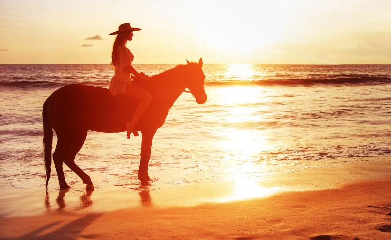 落日下的美女骑着马