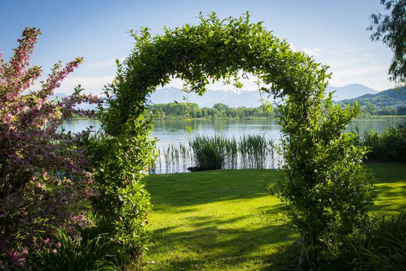 编织的植物在湖畔美丽的花园中形成拱门