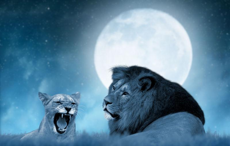 两只狮子在夜空中与月亮同在