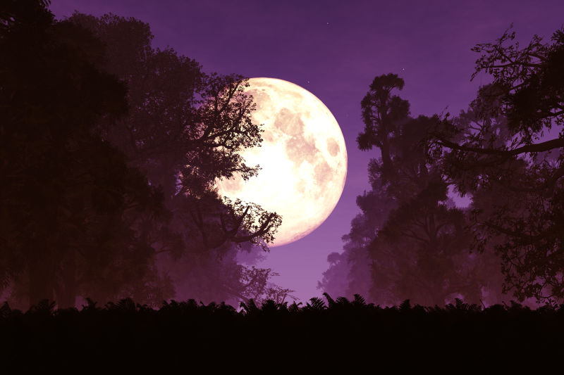 神秘神奇的梦幻童话森林的月亮