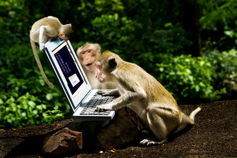 猴子玩电脑