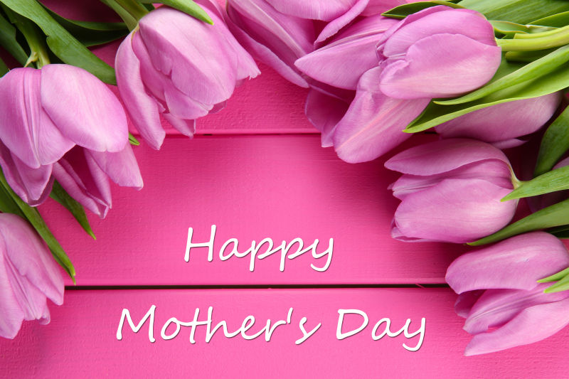 粉丝木制背景下的母亲节快乐祝福语和粉红色郁金香