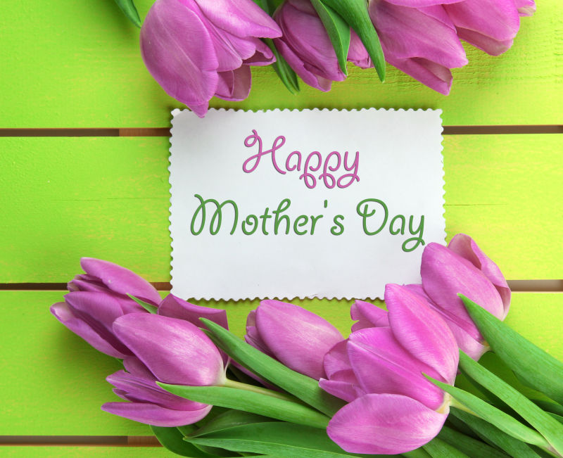 绿色木制背景下的紫色郁金香和母亲节快乐卡片