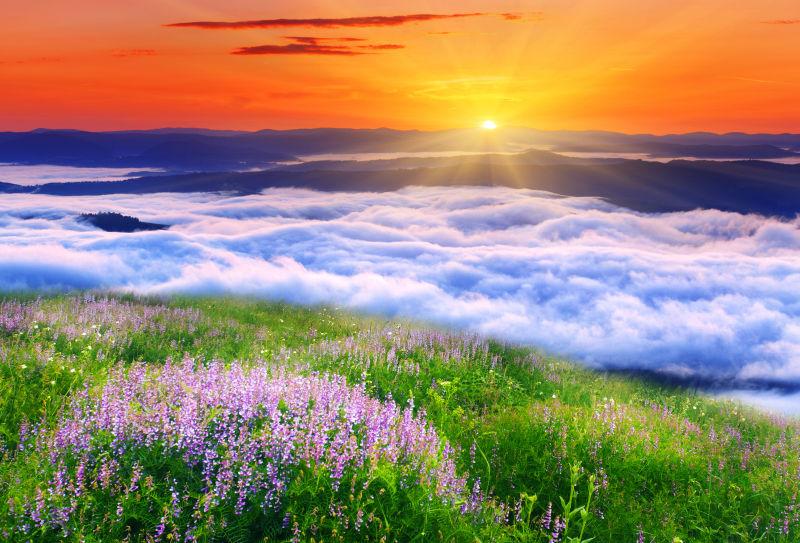 日落下开门鲜花的山中美景
