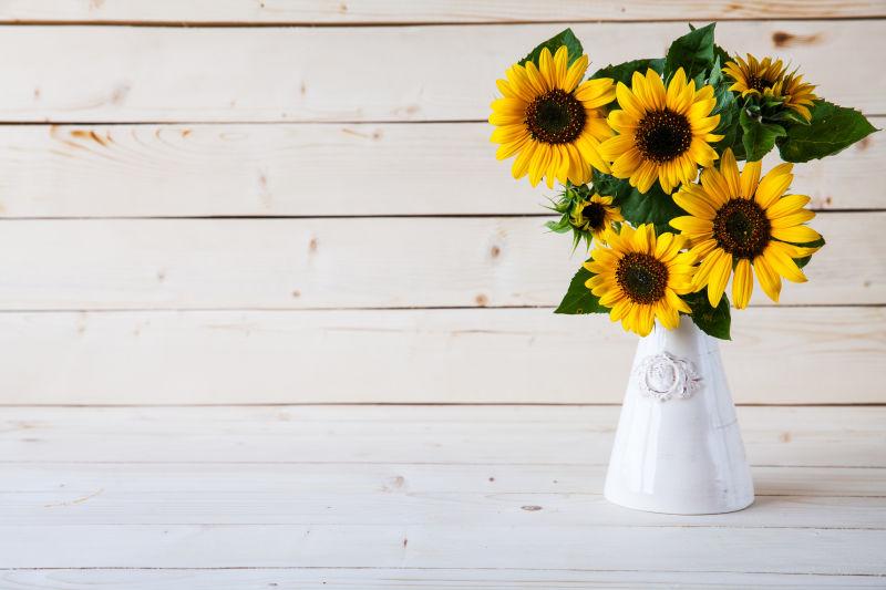 灰色背景下花瓶里的向日葵