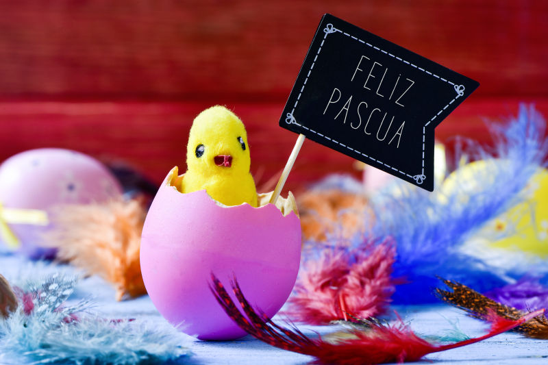 粉红色蛋壳中出现的玩具小鸡和黑旗招牌