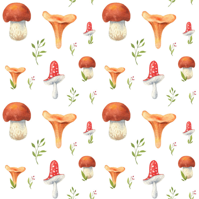 蘑菇草本矢量图背景