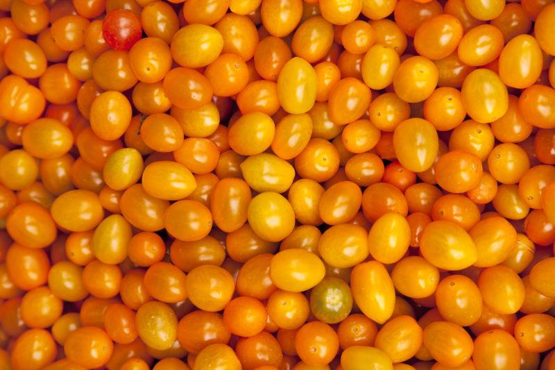 黄色成熟的小番茄
