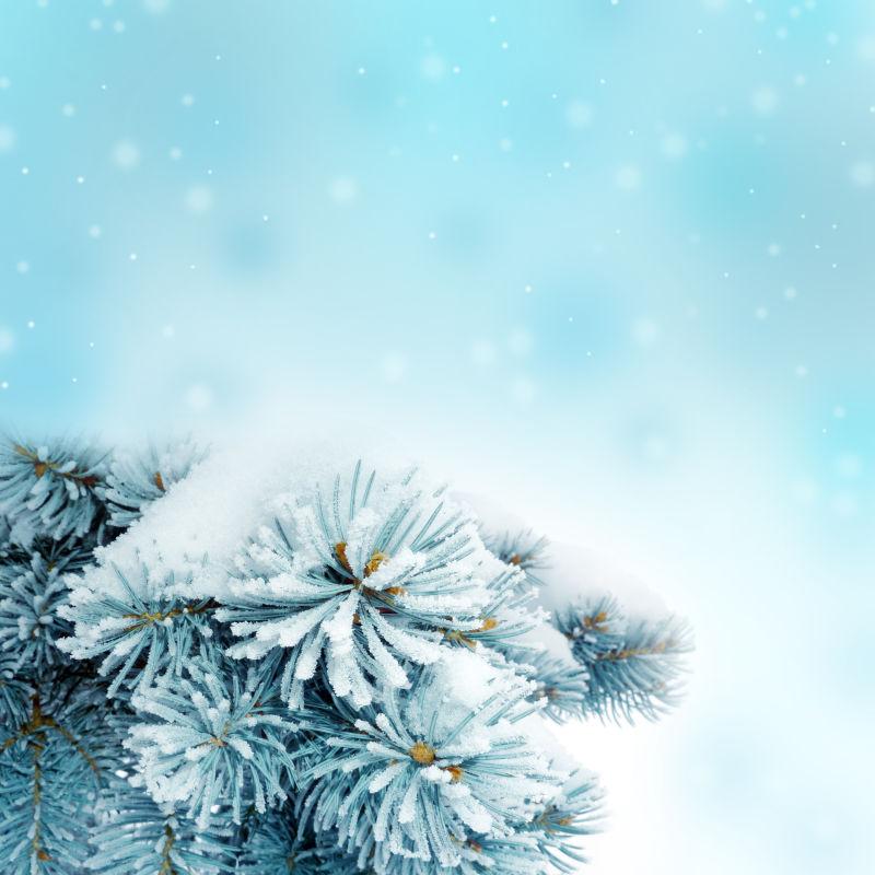 冬季背景下的白色圣诞树