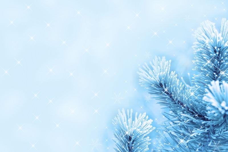 冰天雪地的圣诞节背景下的冬季云杉