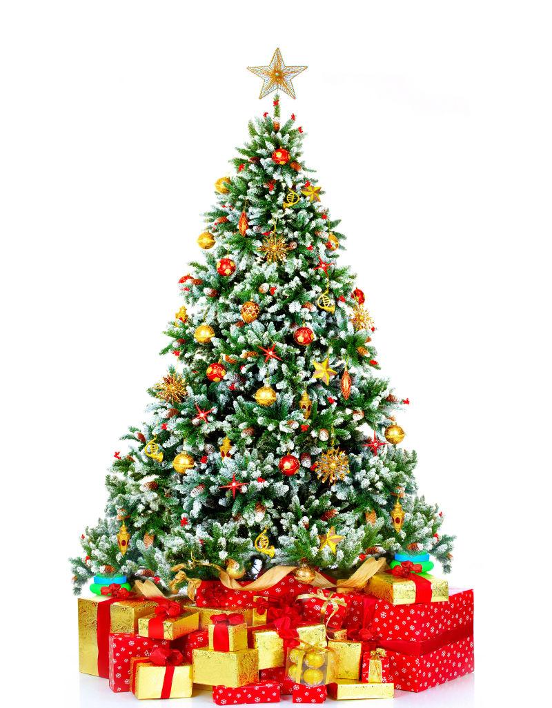 白色背景中带礼物的圣诞树