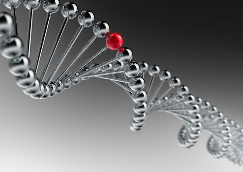 黑色的DNA链