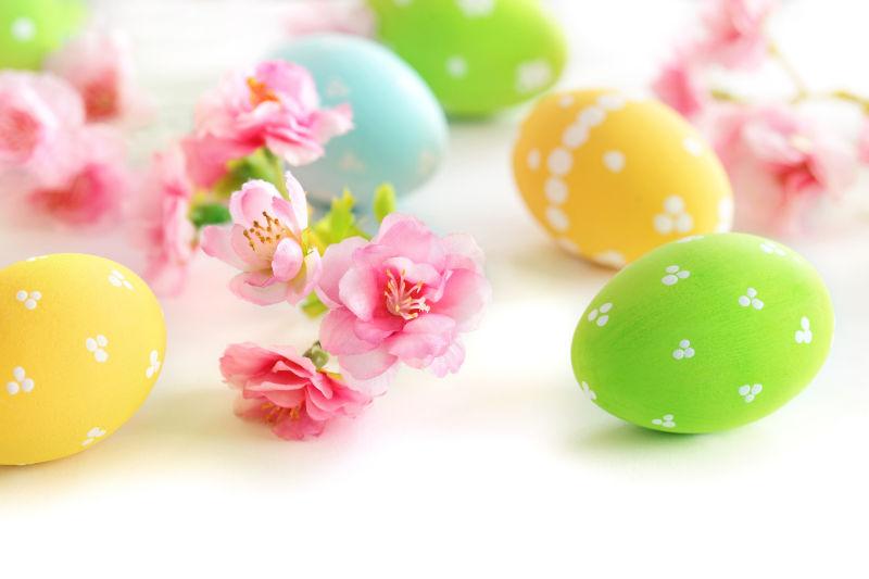 白色背景上的复活节彩蛋和粉色花