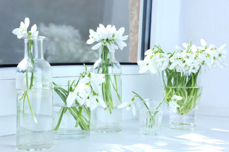 窗台花瓶里的美丽白色花朵
