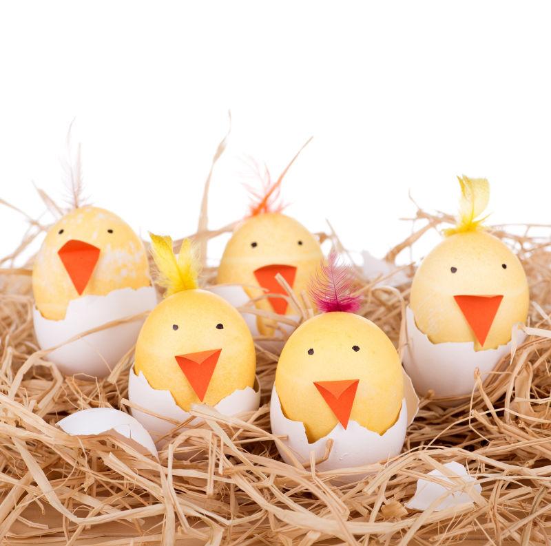 复活节彩蛋装饰雏鸡